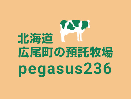 Pegasus(ペガサス)236